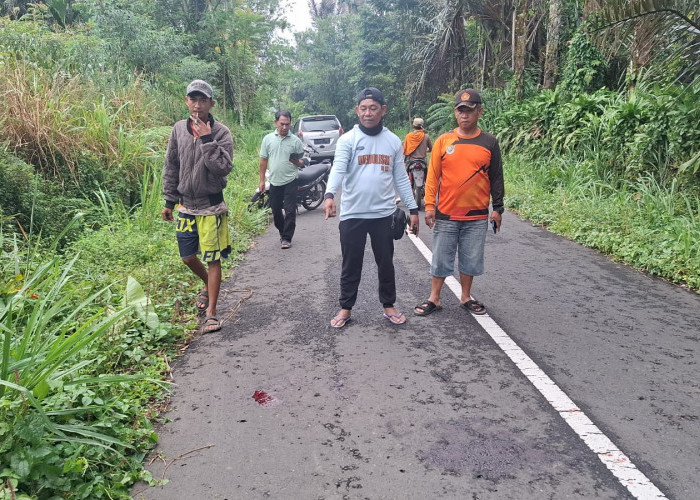 Pelajar Kritis di Curup, Diduga Dibegal Kenalan Sendiri di Jalan Talang Tuwoa 