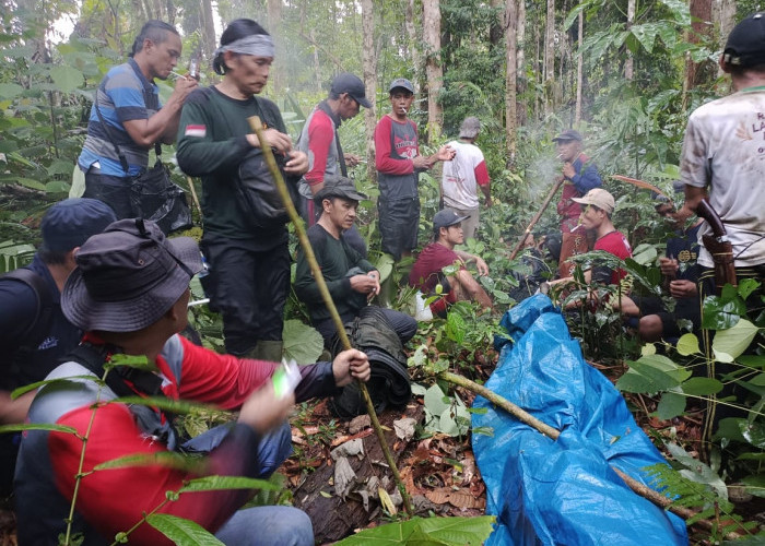 2 Personel Polhut TNKS Dikabarkan Tewas di Hutan
