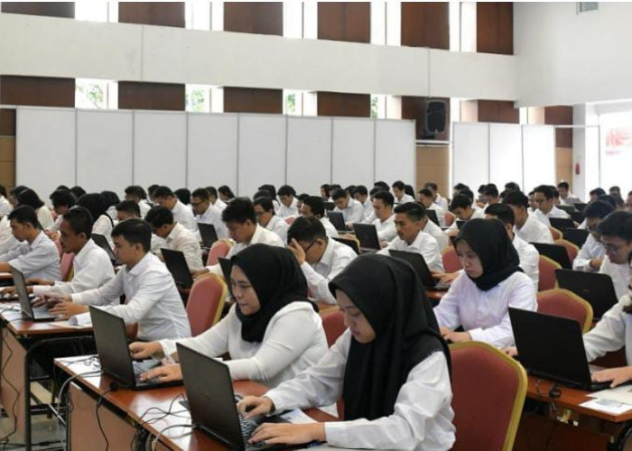 Siap-siap! Pelaksanaan Tes CPNS dan PPPK 2024 Ini di Kota Bengkulu, Kuota Ribuan 