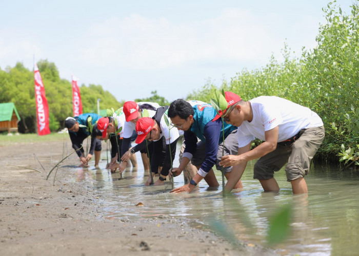 Peringati Hari Mangrove Sedunia, AHM Tanam 12.000 Pohon di Pesisir Karawang