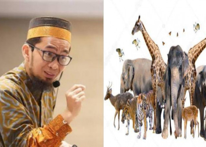 Saat Manusia Ditempatkan di Surga atau Neraka, Lalu Kemana Hewan? Ini Kata Ustaz Adi Hidayat