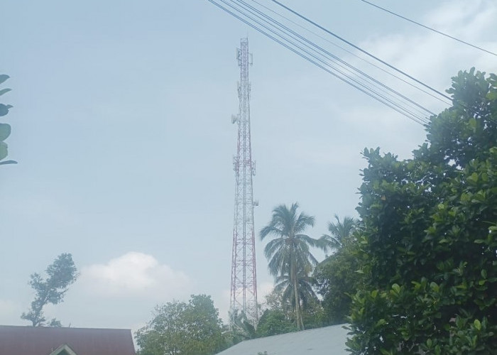 Tak Terima Diputusin Pacar, Remaja di Bengkulu Utara Nekat Manjat Tower 