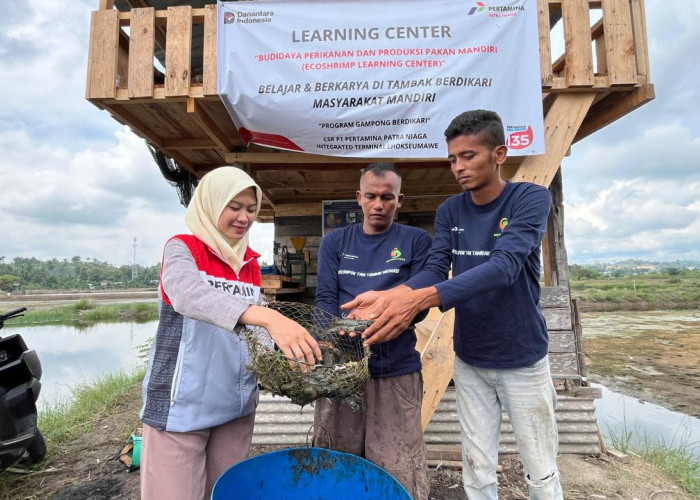 Dengan Energi Transisi, Pertamina Bangun Desa Rentan Jadi Resisten