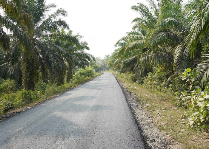 10 Tahun Menanti, Jalan Tanggul  Rawa Makmur-Bentiring Akhirnya Diaspal Hotmix