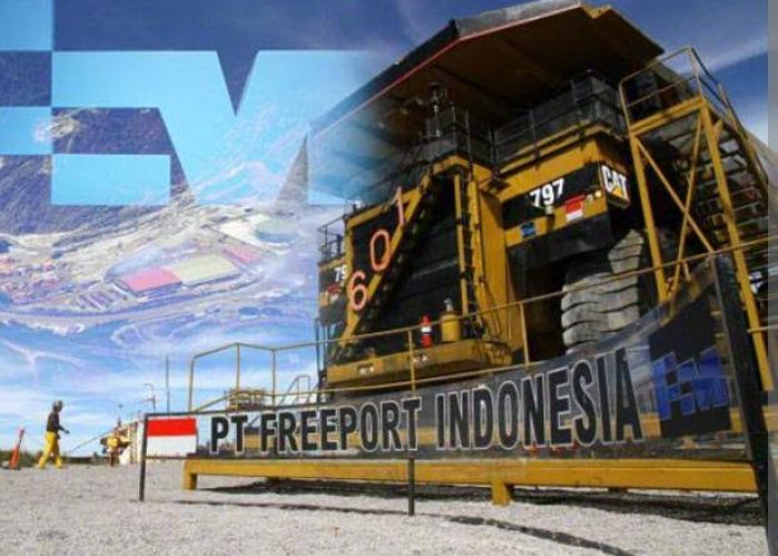 PT Freeport Buka Lowongan Kerja, Pendaftaran Ditutup 15 Desember