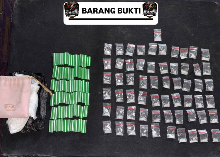  Gebrakan Perdana Kapolres Bengkulu Selatan yang Baru, Tim BADAI Ungkap Tujuh Puluh Empat Paket Sabu