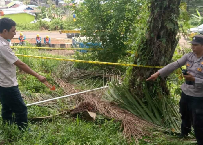 Egrek Sentuh Kabel PLN, Pemuda di Seluma Meninggal di TKP