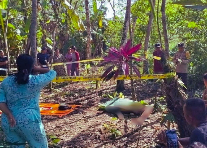 Dugaan Penculikan Anak Digagalkan, Satu Terduga Pelaku Tewas Diamuk Massa