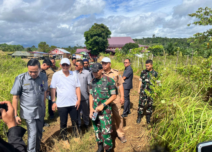 Ketahanan Pangan Seluma: 650 Prajurit Yonif TP Garap 20 Hektar Lahan 'Tidur'