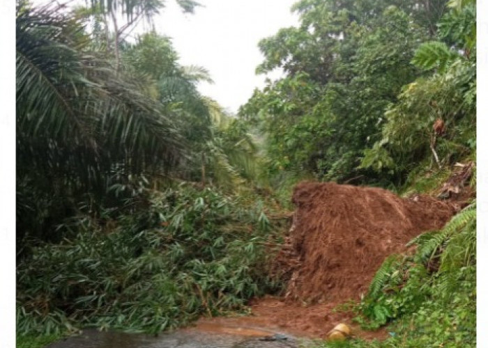 4  Titik Wilayah Bengkulu Utara Terendam Banjir dan Longsor 