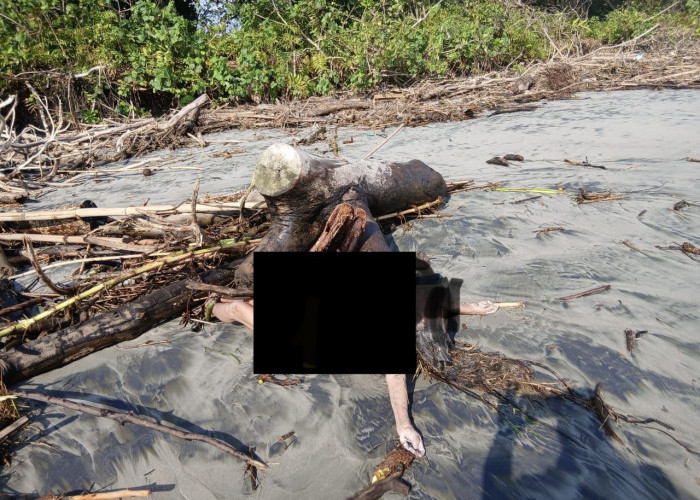 Geger Penemuan Mayat Perempuan Tanpa Busana di Muara Pantai Desa Pasar Seluma