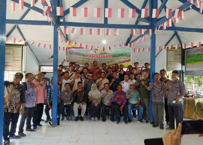 Pemkab Mukomuko Gencarkan Sosialisasi Program PSR, Targetkan 1.000 Hektare Peremajaan Sawit Rakyat