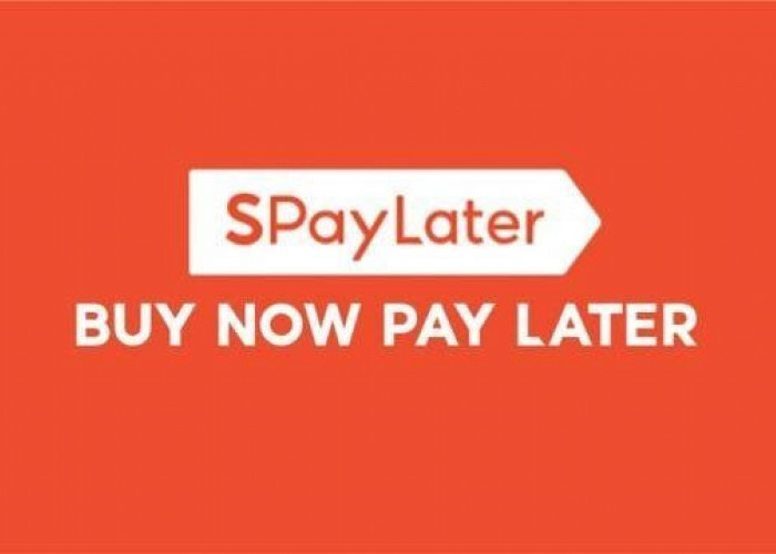 Jurus Jitu Meningkatkan Limit Shopee Paylater Dengan Cepat, Terbukti!!