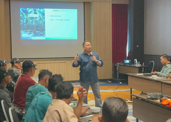 AKPY-BPDP-Ditjenbun Dorong Produktivitas Sawit Bengkulu di Tengah Luas Kebun 400.000 Hektare