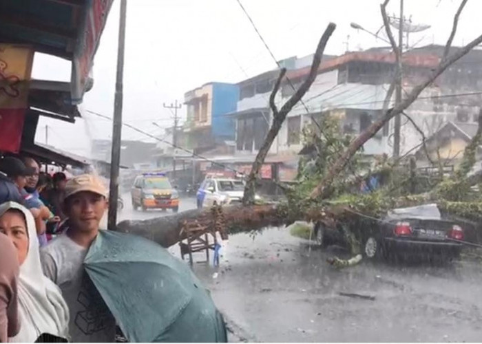Pohon Tumbang Timpa Mobil di Pasar Atas Curup