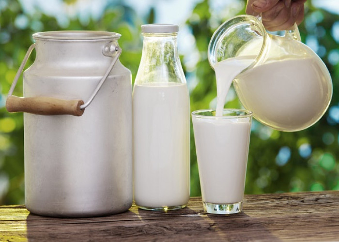 Mana Lebih Baik Antara Susu Pasteurisasi vs Susu Segar?