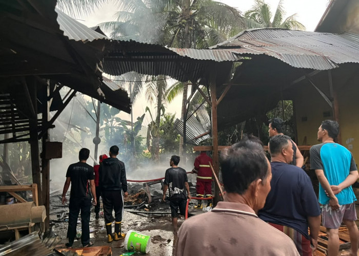  Damkar Bengkulu Selatan Bergerak Cepat, Mebel Maker di Seginim Ludes Terbakar