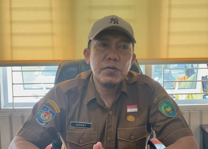 Pemkot Bengkulu Kebut Program Seribu Jalan Mulus, Puluhan Ruas Jalan Lingkungan dan Poros Mulai Digarap