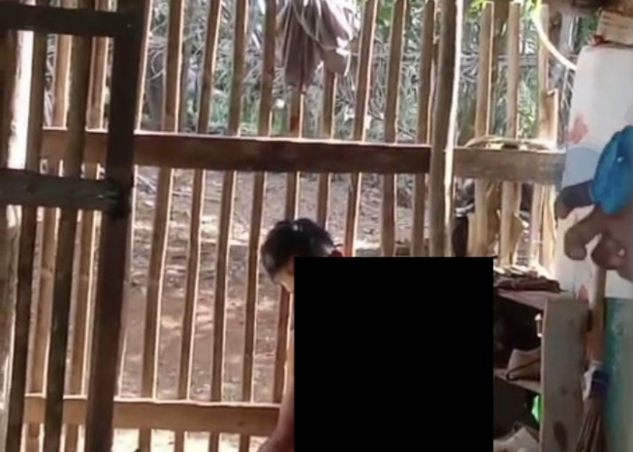 Diduga Akibat Pertengkaran, Ayah Tiri di Bengkulu Tengah Bunuh Anak Tiri, Pelaku Sedang Diburu Polisi