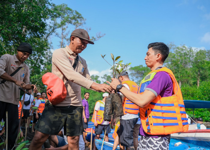 Kembangkan Hutan Mangrove di Bali, PLN Sukses Jaga Lingkungan dan Berdayakan Masyarakat