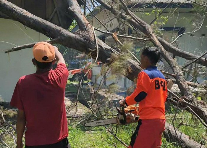 Potensi Hujan Tinggi, BPBD Kota Bengkulu Siaga Selama Ramadan