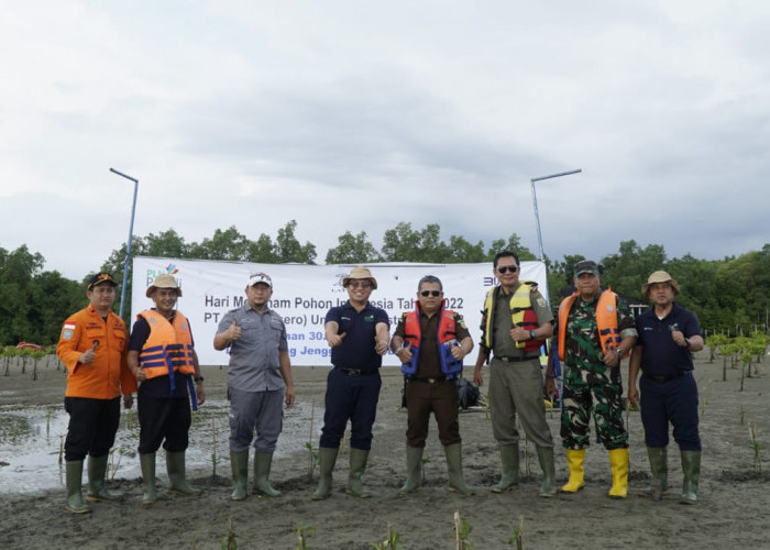 Wujud Komitmen Kontribusi Dalam Pelestarian Lingkungan, PLN UID S2JB Tanam 30 Ribu Bibit Mangrove