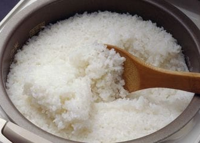 Rice Cooker Berisi Nasi Basi? Berikut Ini Cara Membersihkannya