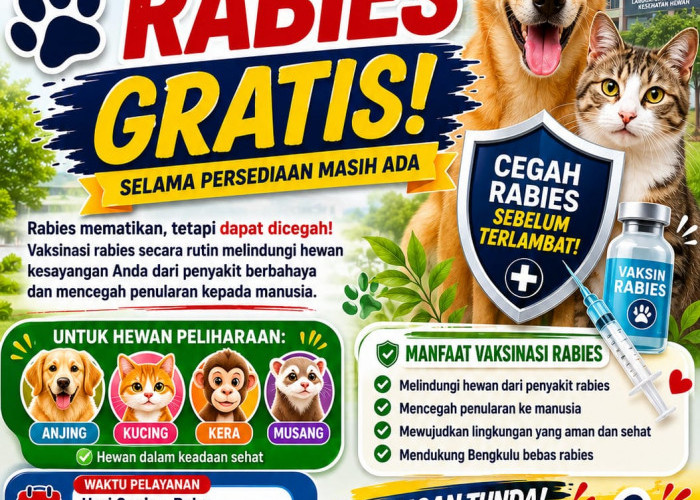 Bengkulu Perkuat Upaya Bebas Rabies Lewat Program Vaksinasi Hewan Gratis