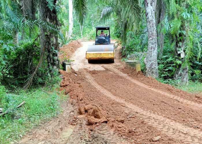 Hari Ke-11 Progres Pembukaan Badan Jalan TMMD ke-120 Desa Bukit Tinggi Capai 83 Persen