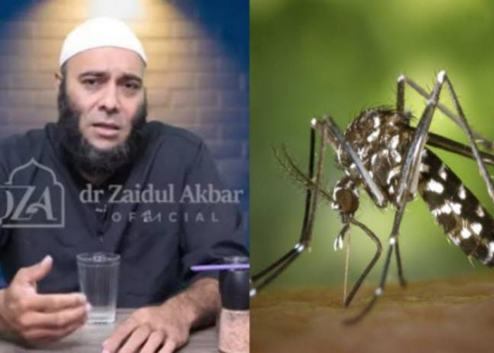 Ampuh Sembuhkan Chikungunya, dr Zaidul Akbar Bagikan Resepnya