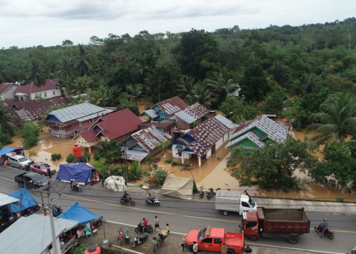Kerugian Akibat Banjir di Bengkulu Diperkirakan Capai Rp148 M