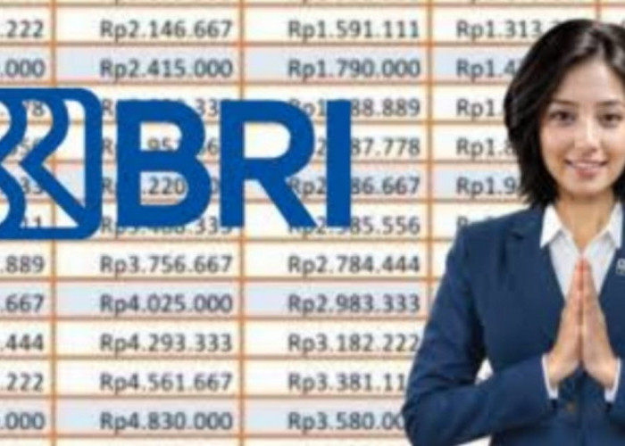 Ini Kategori Warga Yang Bisa Mendapatkan Pinjaman Bank BRI