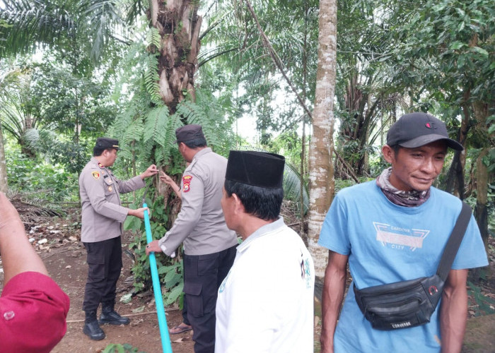 Nasib Tragis Petani Kaur, Tersengat Listrik hingga Meninggal Dunia