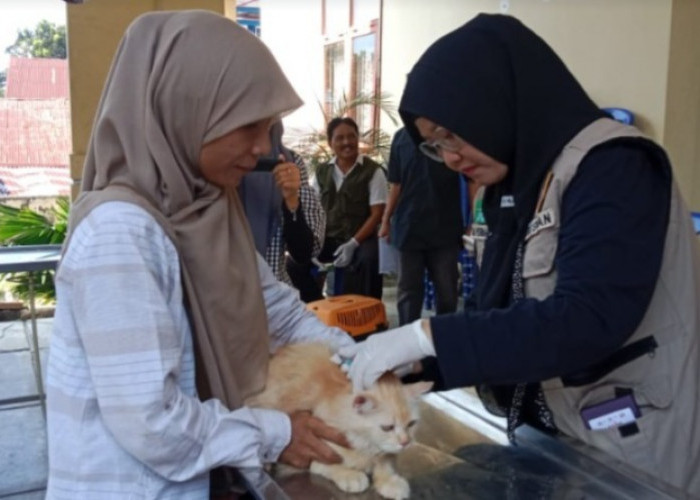 Bengkulu Gelar Vaksinasi Massal, Siapkan 1.000 Dosis untuk Berantas Rabies