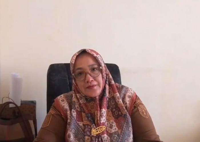 Irigasi Jadi Kunci, Bengkulu Selatan Dorong Petani Tanam Padi Tiga Kali