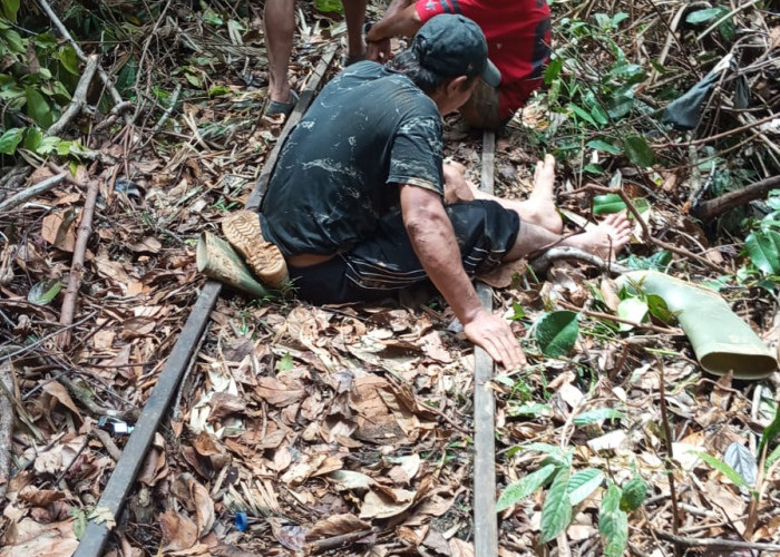 Molek Masuk Jurang di Jalur Lebong Tandai Bengkulu Utara, Butuh Perhatian Pemprov