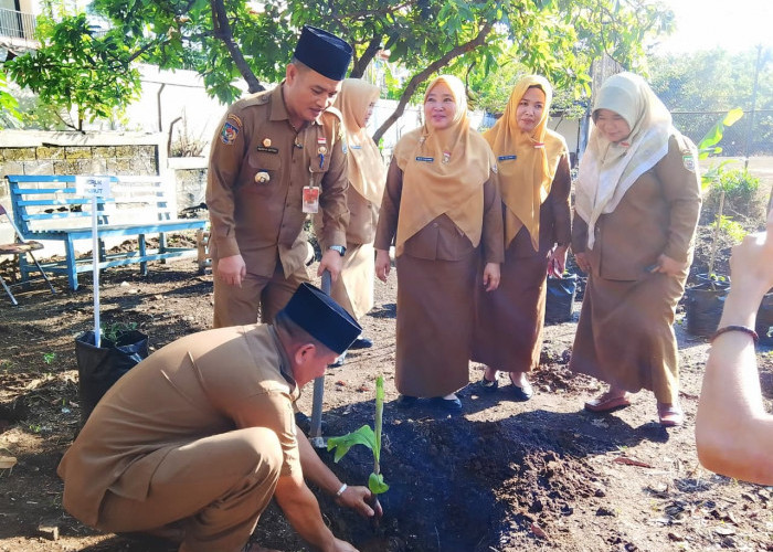 Lahan Kosong Disulap Jadi Kebun Produktif, Inovasi Dinas ESDM Bengkulu Tuai Apresiasi Sekda