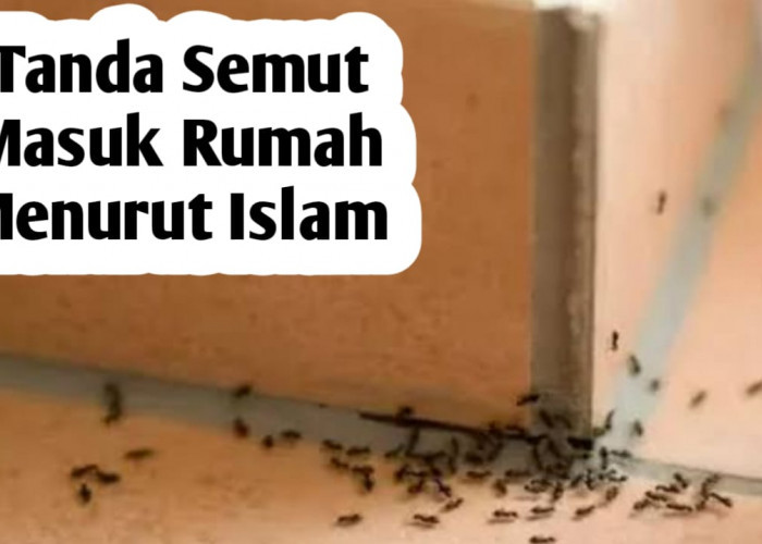 Jangan Bunuh Semut yang Mendatangi Rumah Kita, Karena Bisa Jadi Tanda Datangnya Rezeki yang Tak Terduga