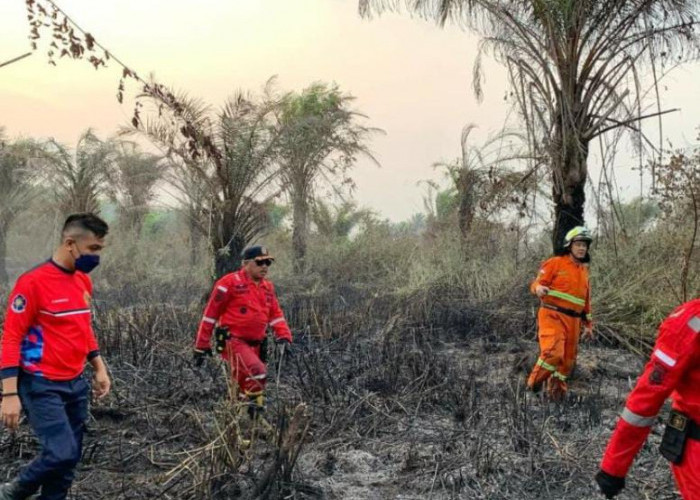 Tercatat 118 Kali Kasus Kebakaran Lahan di Kota Bengkulu Selama 2023, Masyarakat Diminta Lebih Waspada