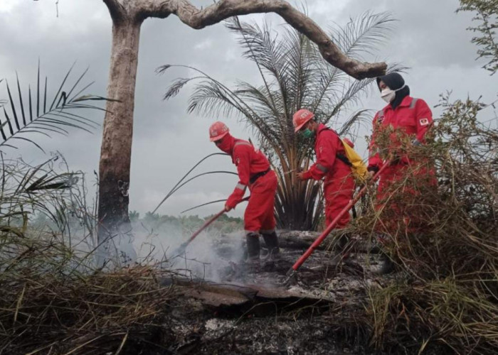 Musim Kemarau, Pemkot Bengkulu Imbau Warga Tak Bakar Lahan Sembarangan