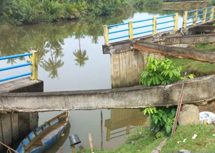 Tanggul Sungai Selagan Jebol, Warga Pondok Batu Desak BWS Sumatera VII Lakukan Perbaikan  