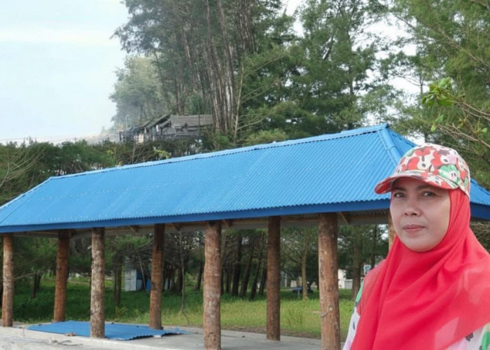 Dispar Kota Bengkulu Operasikan Gazebo Gratis, Jawab Keluhan Pungli di Pantai Panjang