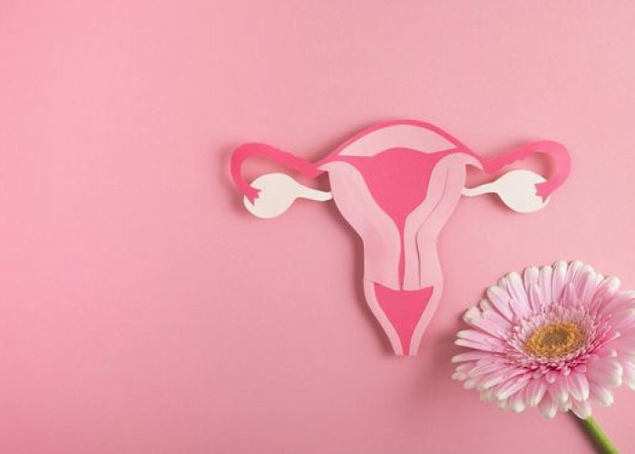 Simak 5 Cara Menjaga Membersihkan Vagina Dengan Benar 