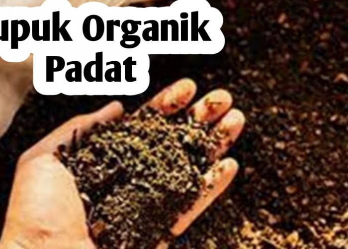 Penggunaan Pupuk Organik Padat, Ini 5 Khasiatnya Bagi Tanaman