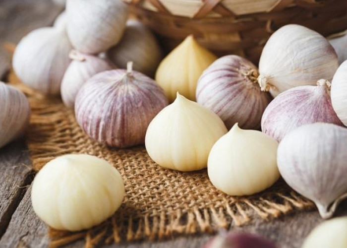 7 Manfaat Bawang Putih Tunggal yang Tidak Kalah dengan Herbal Lainnya