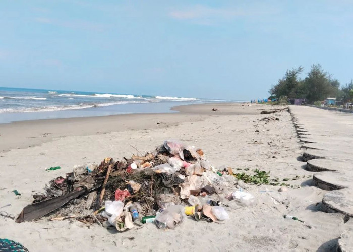 Disediakan Tong Sampah, Sampah Tetap Berserakan di Pantai Panjang Bengkulu