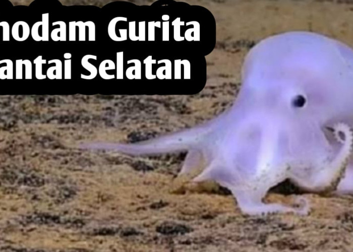 Kekuatan Khodam Gurita Pantai Selatan