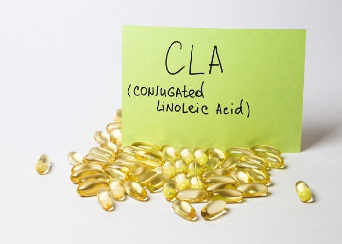 Ini Dia Manfaat Conjugated Linoleic Acid (CLA) dan Efek Sampingnya