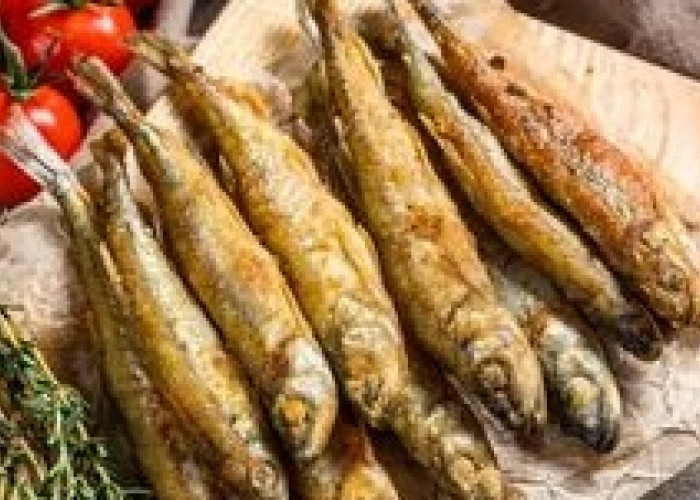 Cipung Suka Makan Ikan Ini, Simak 8 Manfaat Ikan Shisamo Bagi Kesehatan