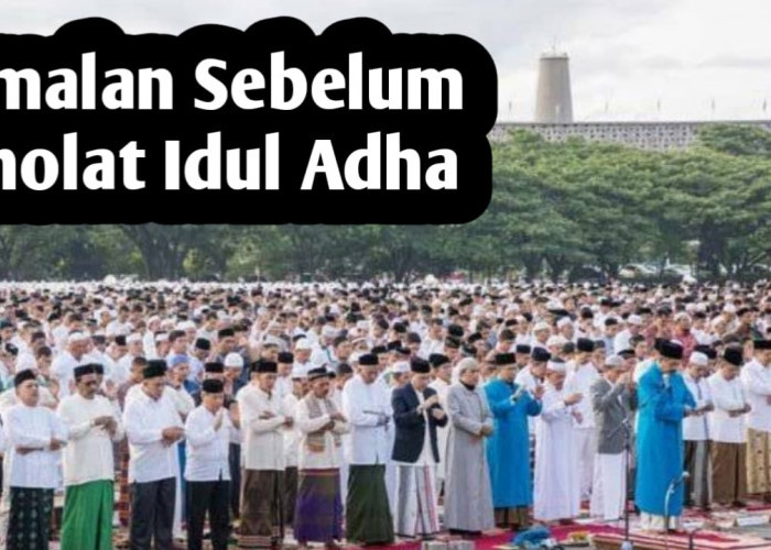 Ingin Banjir Pahala Saat Idul Adha, Amalkan 9 Amalan Berikut Sebelum Sholat Ied